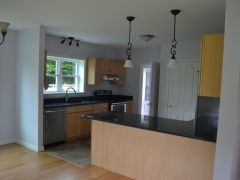 open concept kitchen and living