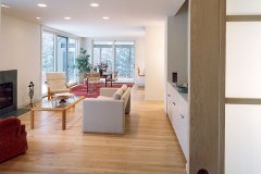 Spare & Spacious - Lugosch Architect