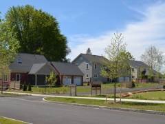 Our Beechwood neighborhood