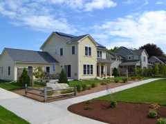 Beechwood