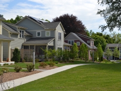 Beechwood