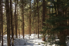 VT Ski Home - BEFORE